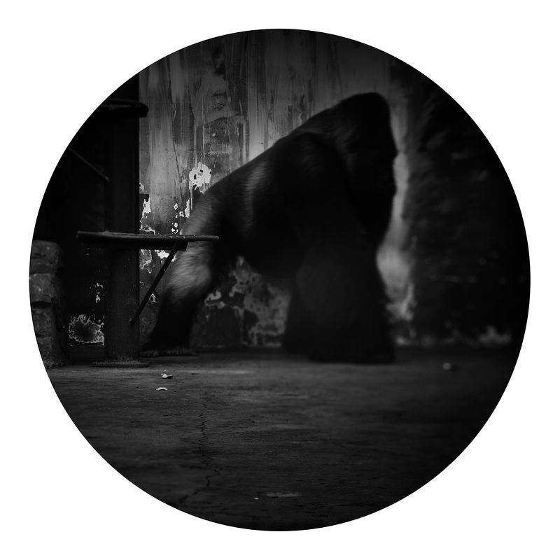 © Qian Jin - Image from the Utopia photography project