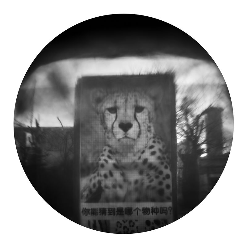 © Qian Jin - Image from the Utopia photography project