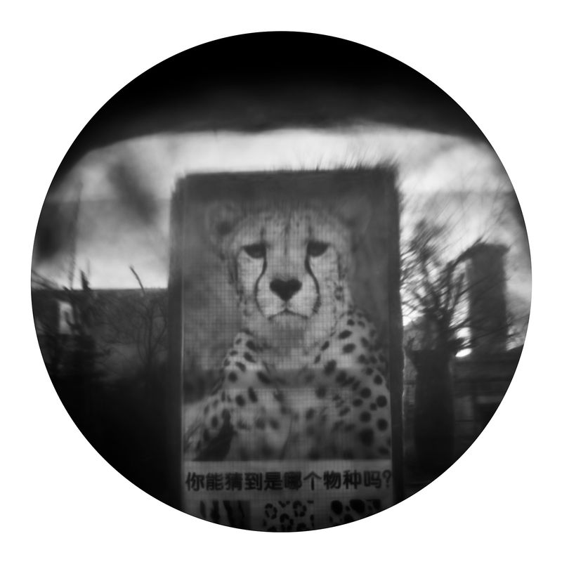 © Qian Jin - Image from the Utopia photography project