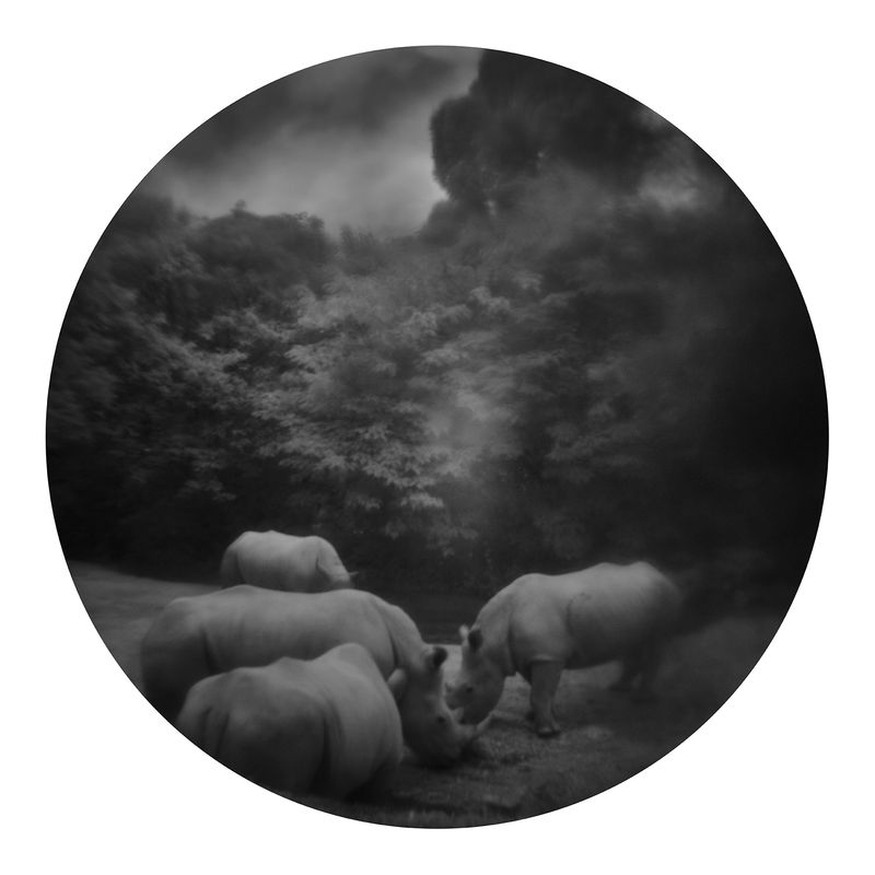 © Qian Jin - Image from the Utopia photography project