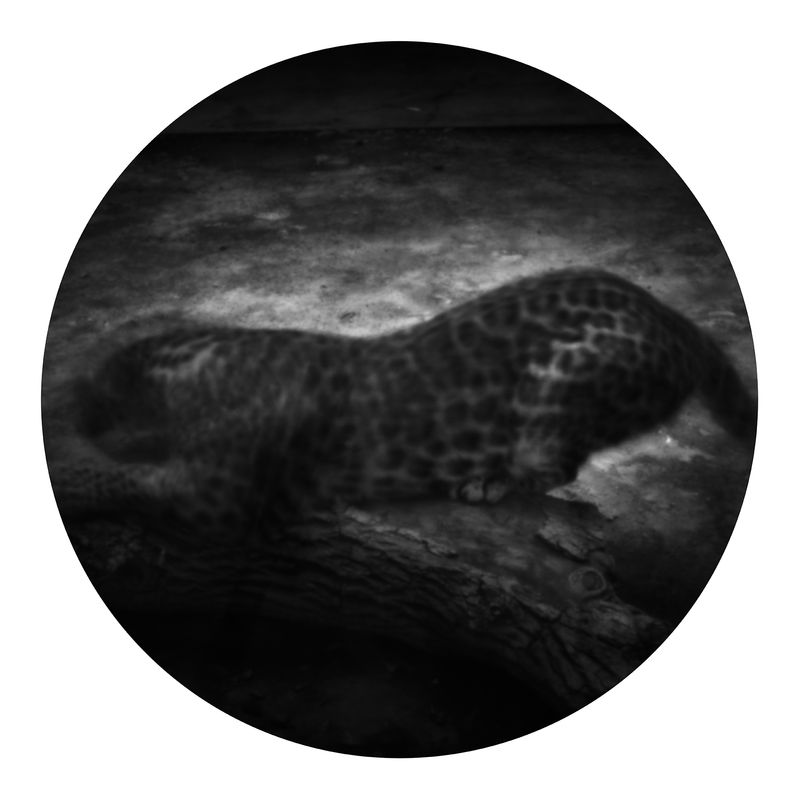 © Qian Jin - Image from the Utopia photography project