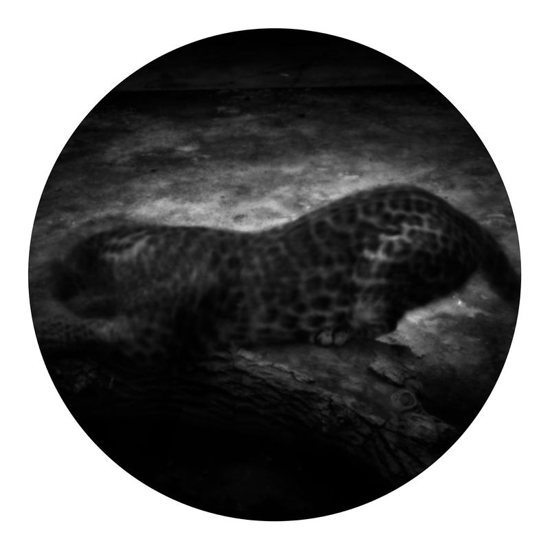 © Qian Jin - Image from the Utopia photography project