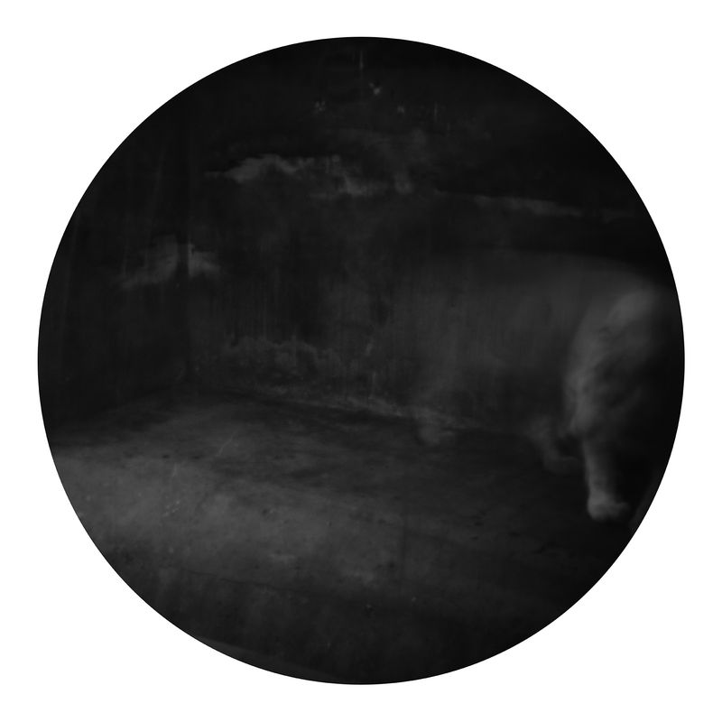 © Qian Jin - Image from the Utopia photography project
