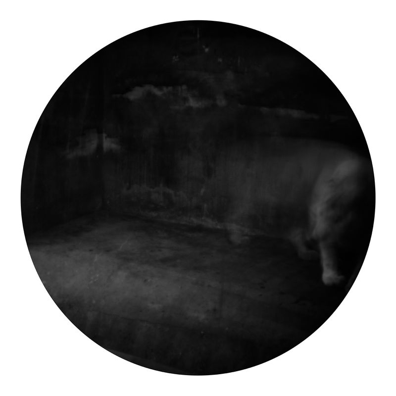 © Qian Jin - Image from the Utopia photography project