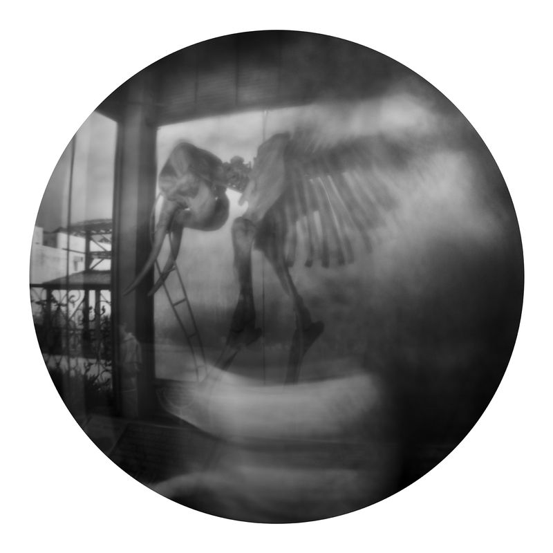 © Qian Jin - Image from the Utopia photography project