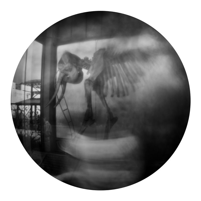 © Qian Jin - Image from the Utopia photography project