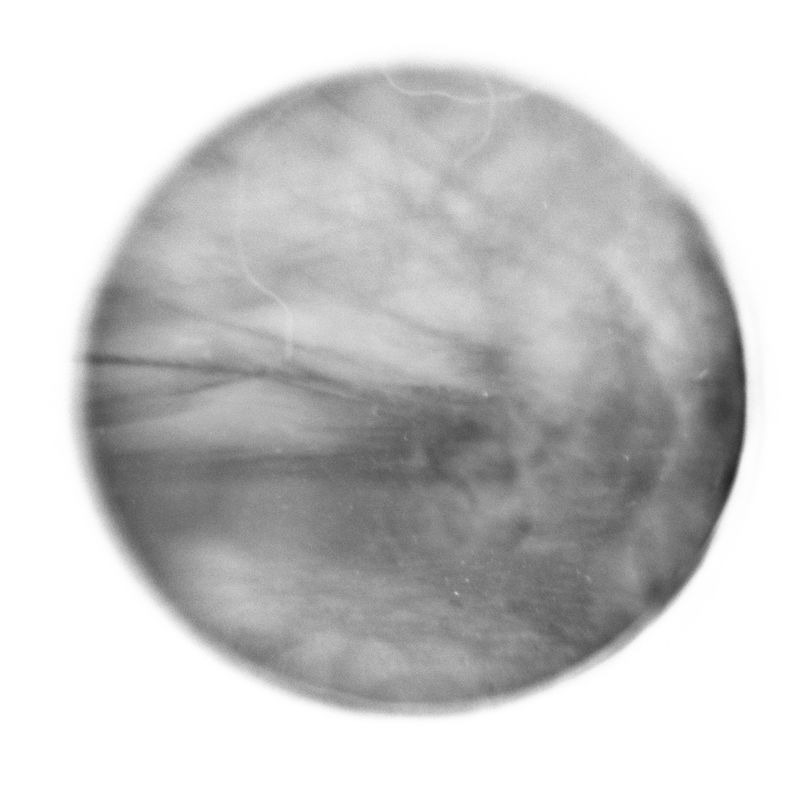 © Qian Jin - Image from the Seascape-"Yan" photography project