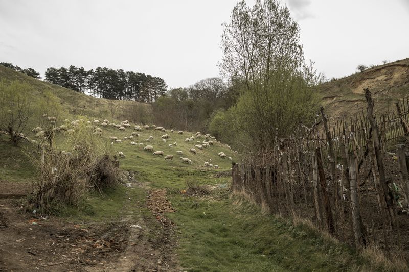 © Davide Bertuccio - Image from the Across the river's flow photography project