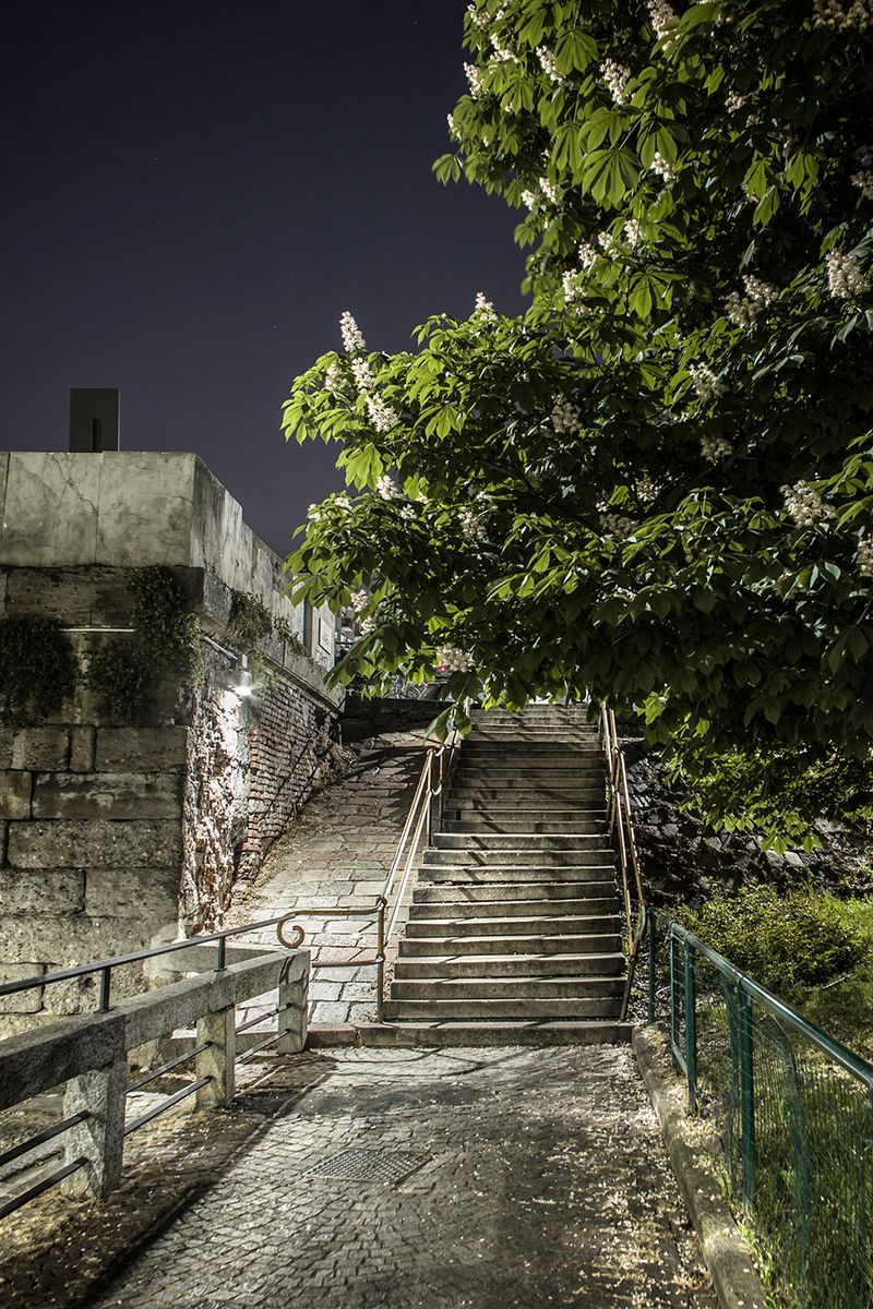 © Sara Di Franco - A stairway to somewhere