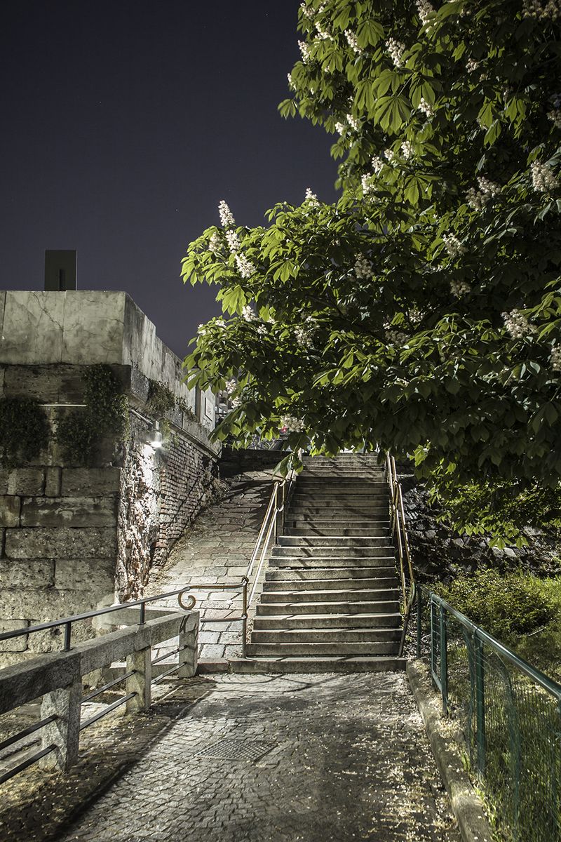 © Sara Di Franco - A stairway to somewhere