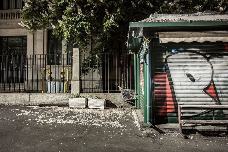 © Sara Di Franco - Hide and seek