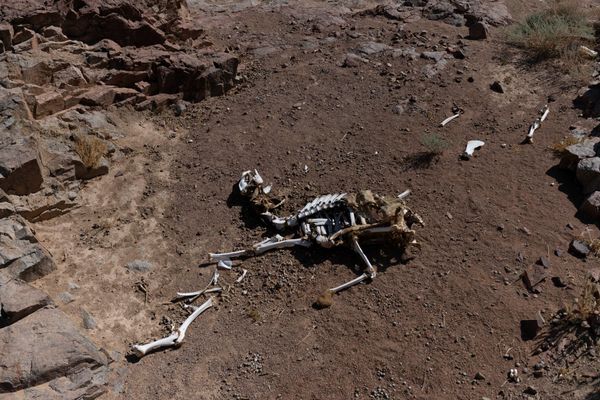 © Rehab Eldalil - Image from the The Longing Of The Stranger Whose Path Has Been Broken photography project