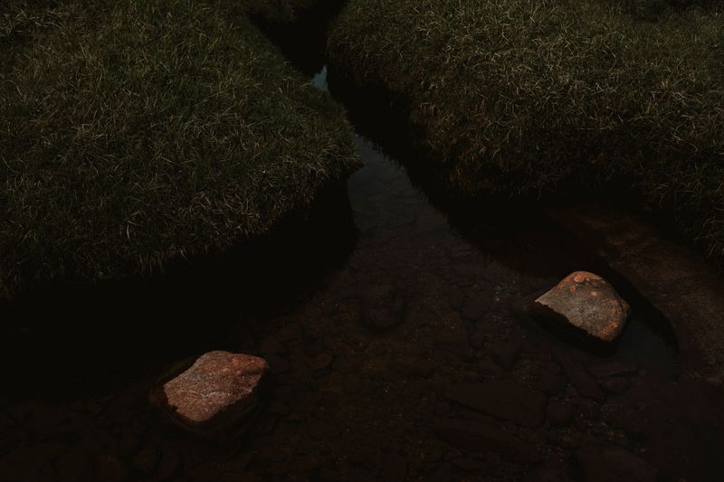 © Dagmara Wojtanowicz - Image from the Roots photography project