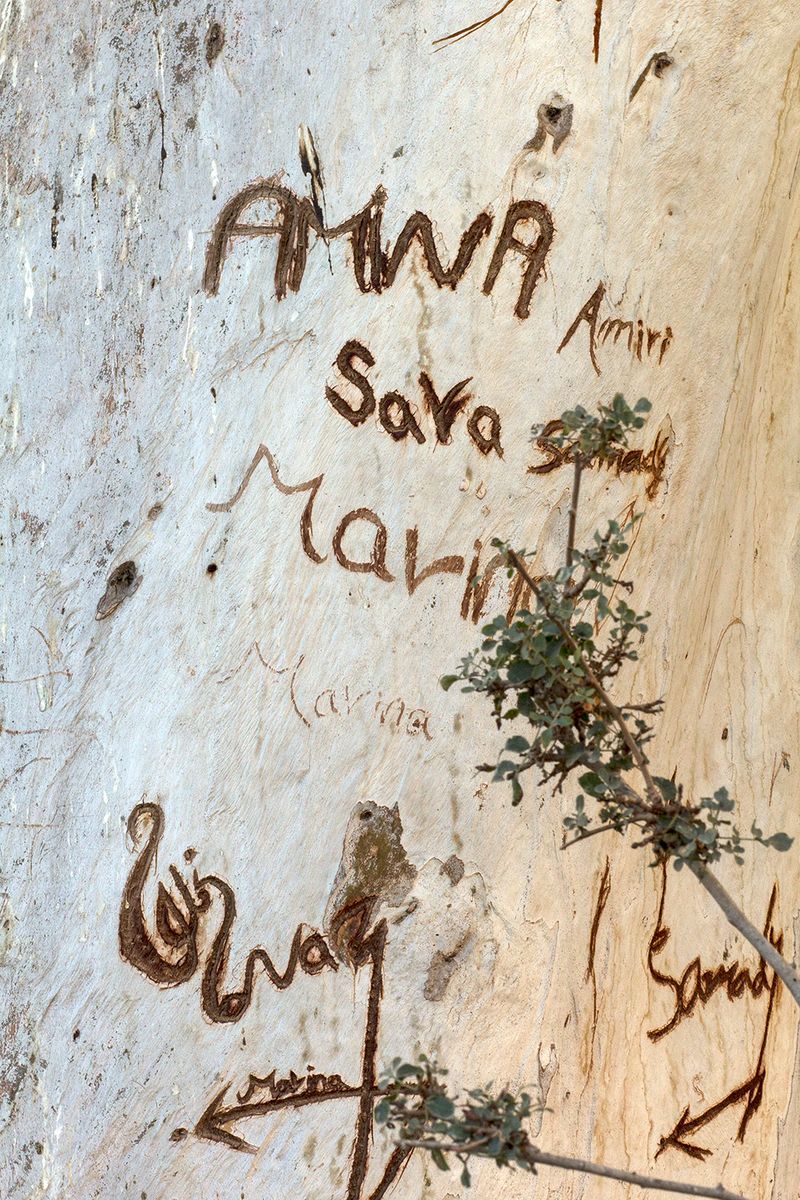 © Florine Thiebaud - Image from the Breaking Point photography project