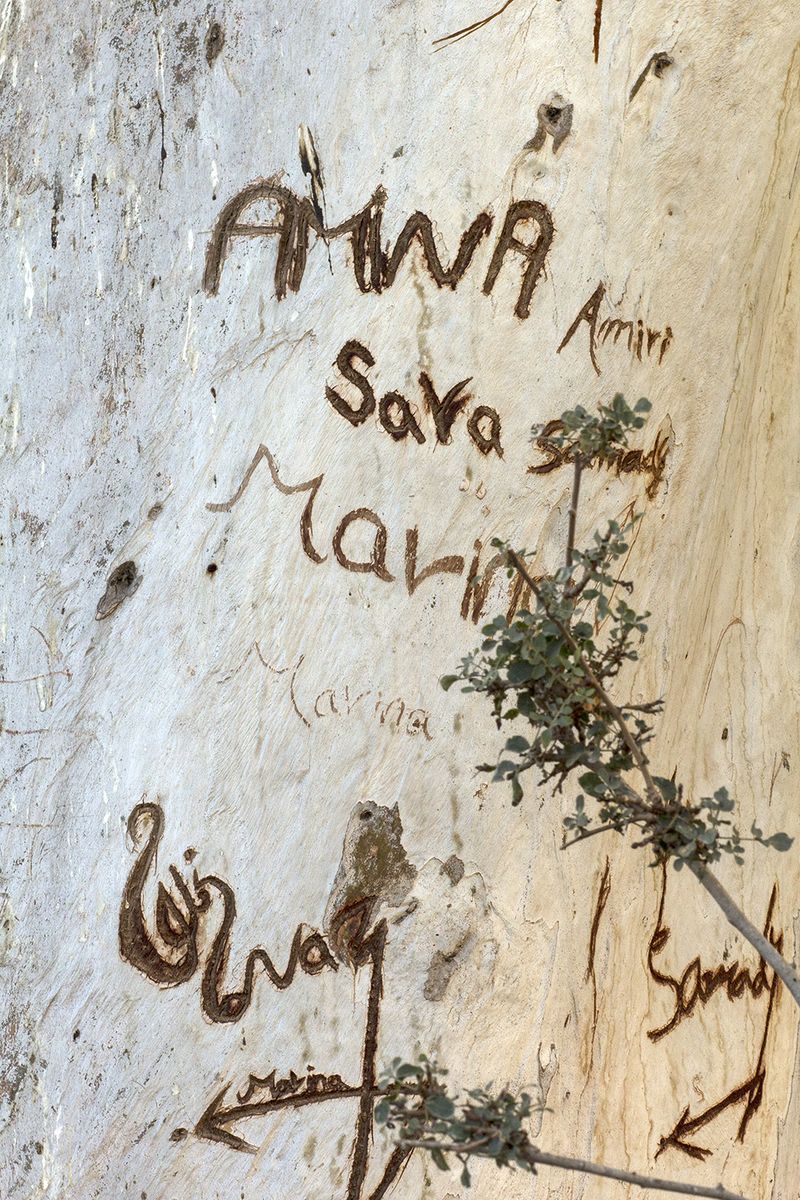 © Florine Thiebaud - Image from the Breaking Point photography project