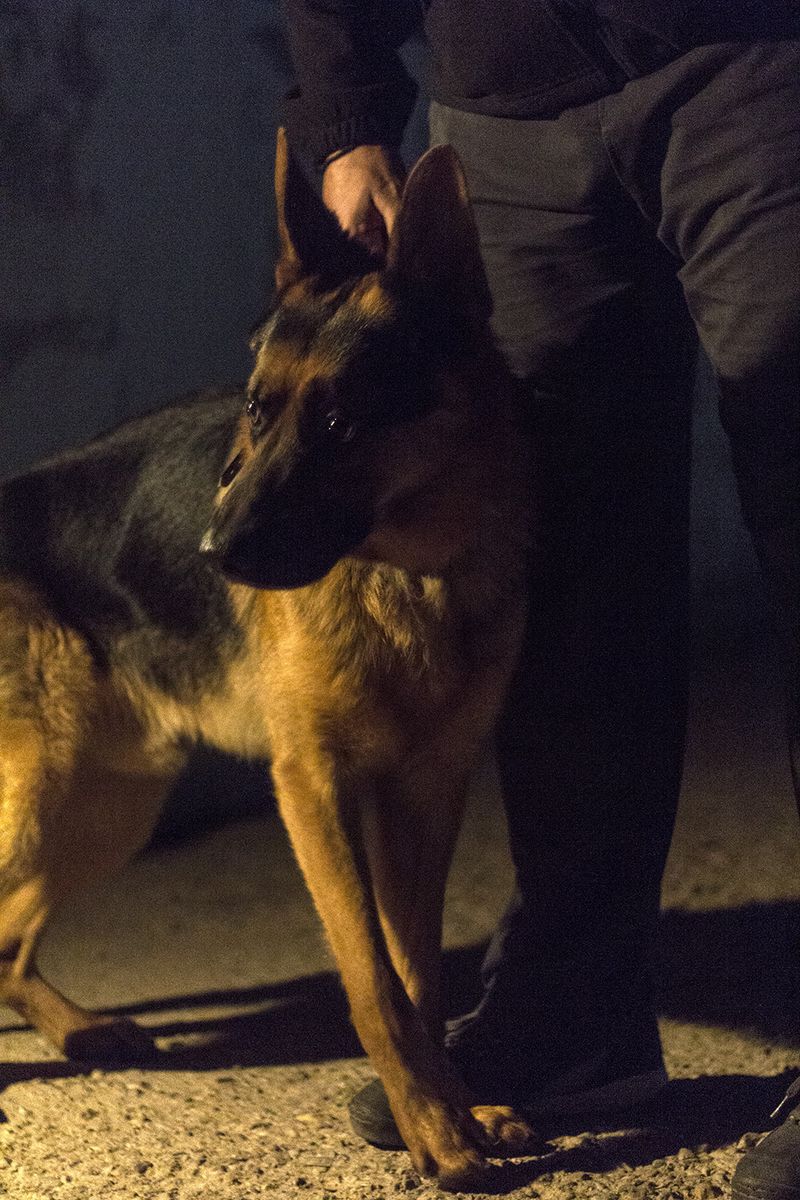 © Florine Thiebaud - Image from the Breaking Point photography project