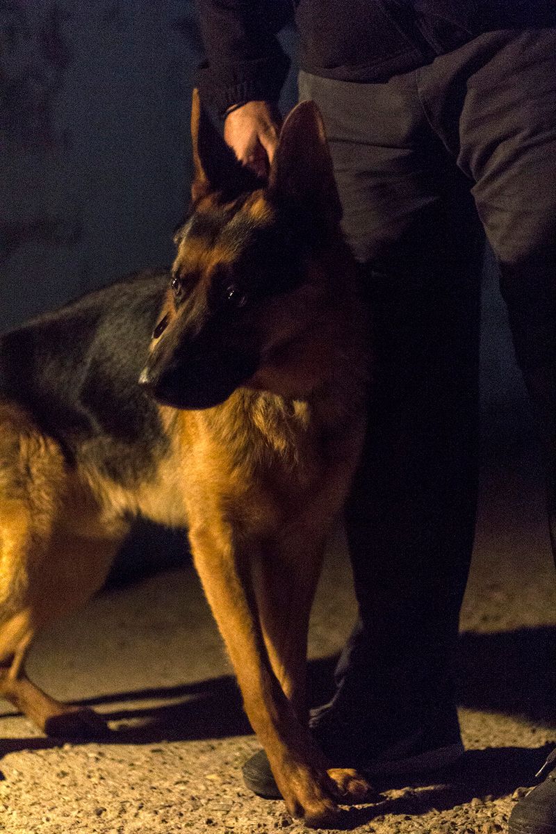 © Florine Thiebaud - Image from the Breaking Point photography project