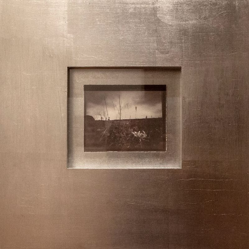 Image from a project on PhMuseum