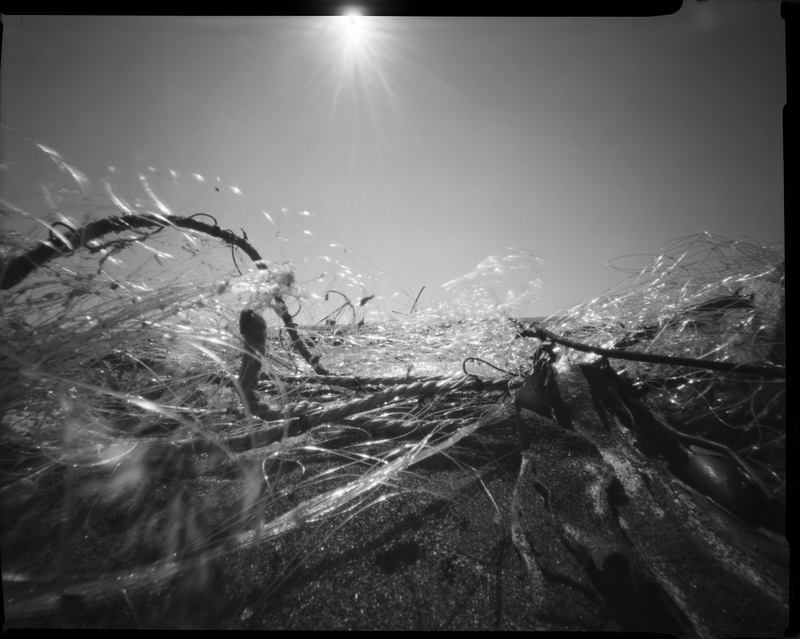 Image from a project on PhMuseum