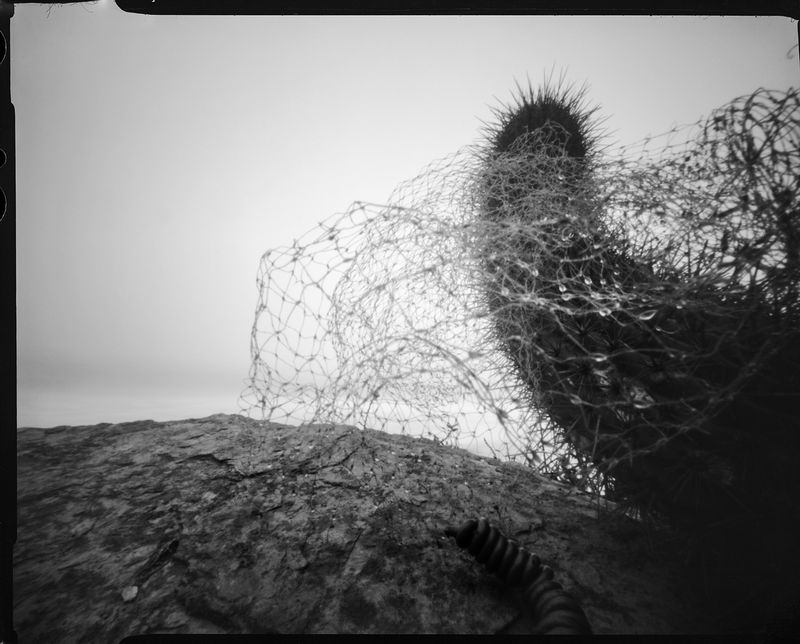 Image from a project on PhMuseum