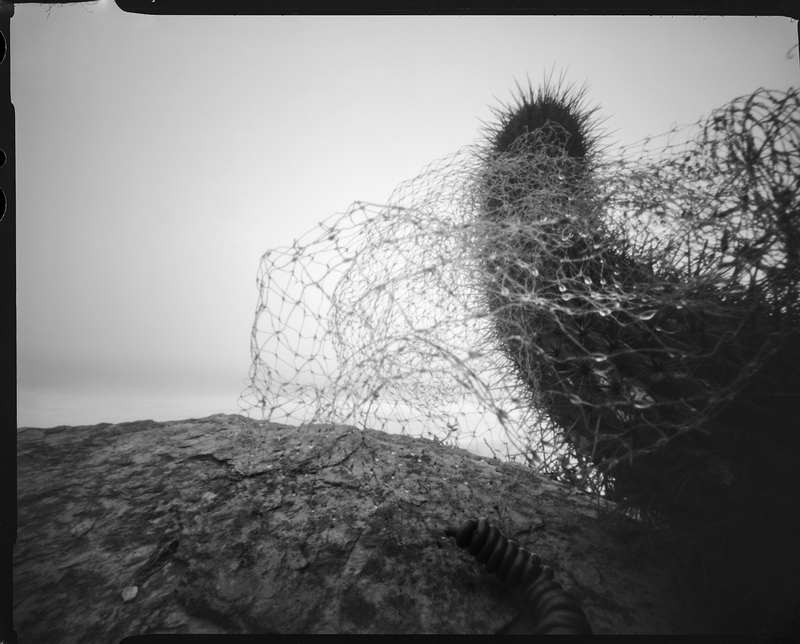 Image from a project on PhMuseum