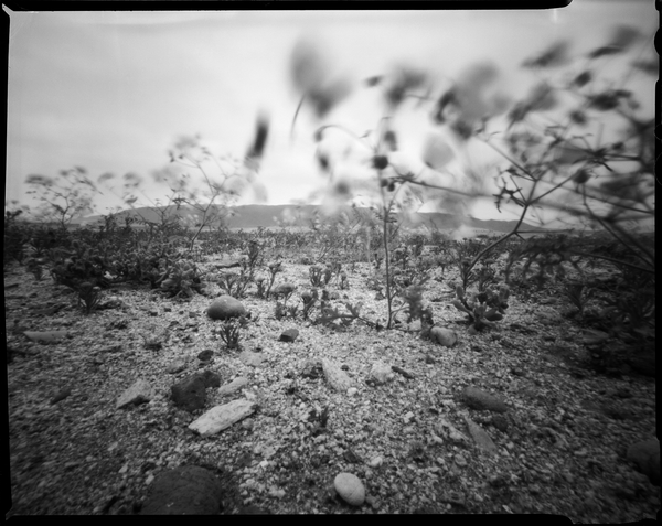 Image from a project on PhMuseum