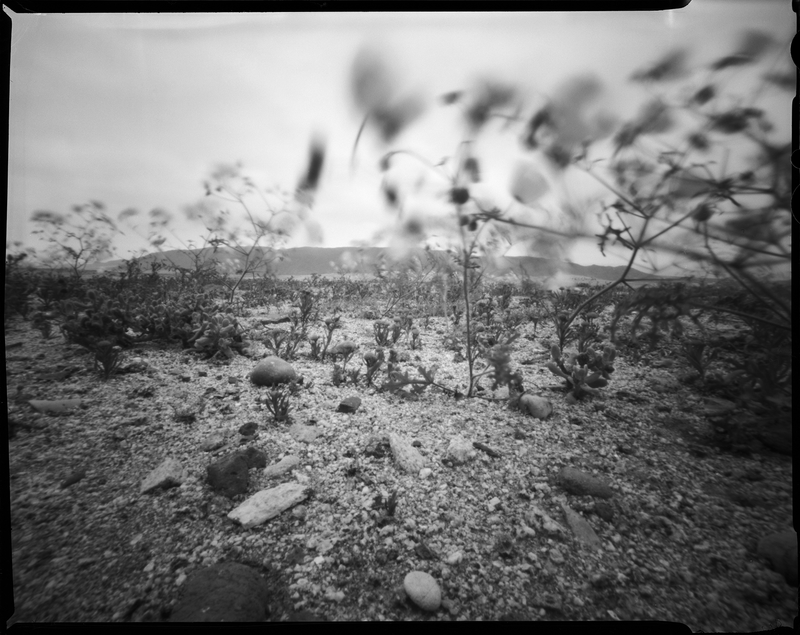 Image from a project on PhMuseum