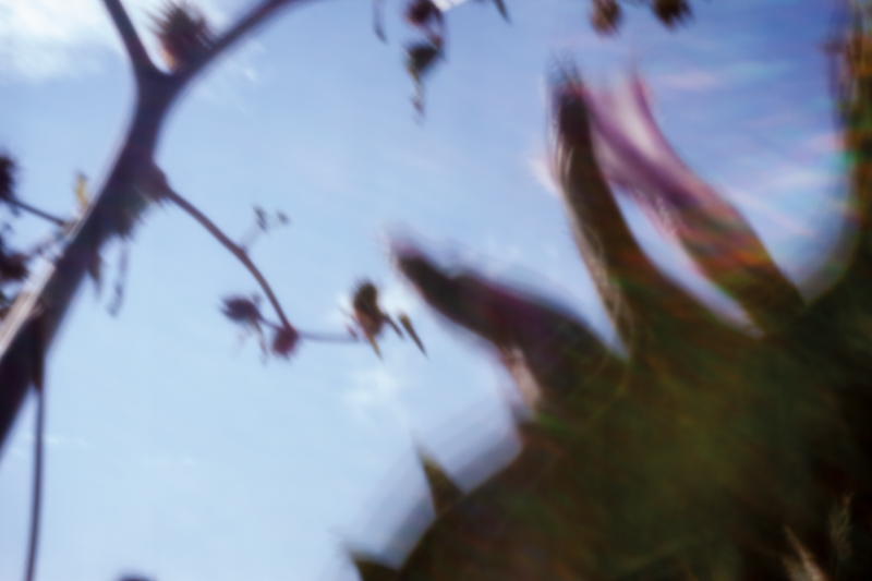 © Isabel Fernández Echavarría - Image from the Mapuchunko photography project