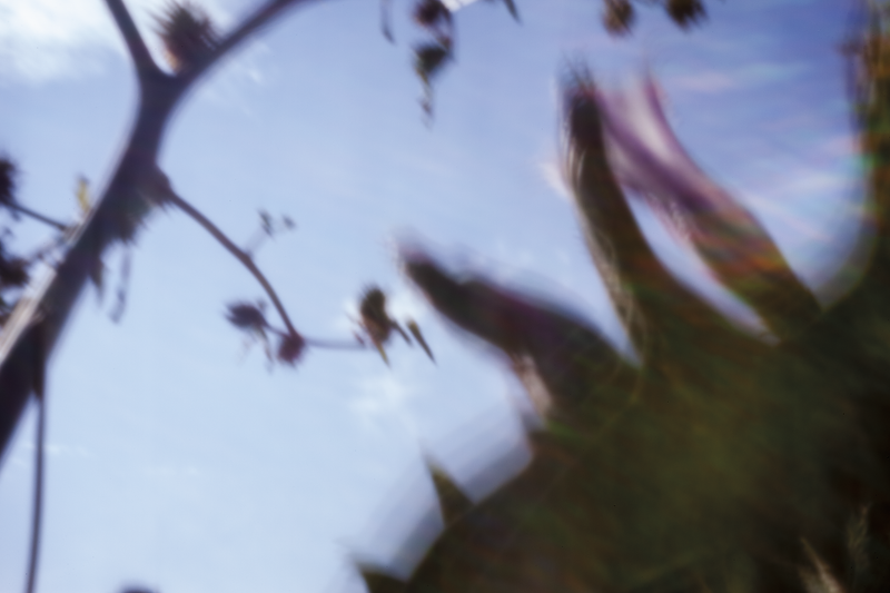 © Isabel Fernández Echavarría - Image from the Mapuchunko photography project