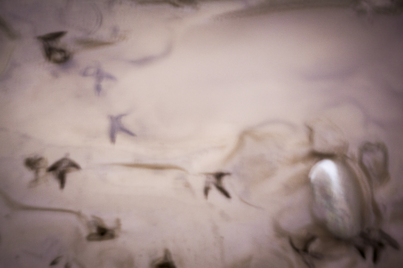 © Isabel Fernández Echavarría - Image from the Mapuchunko photography project