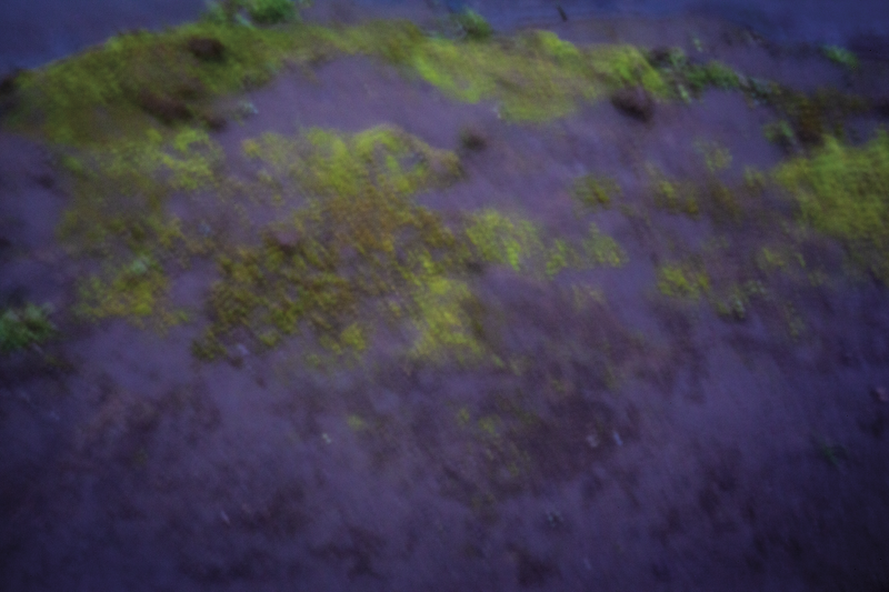 © Isabel Fernández Echavarría - Image from the Mapuchunko photography project