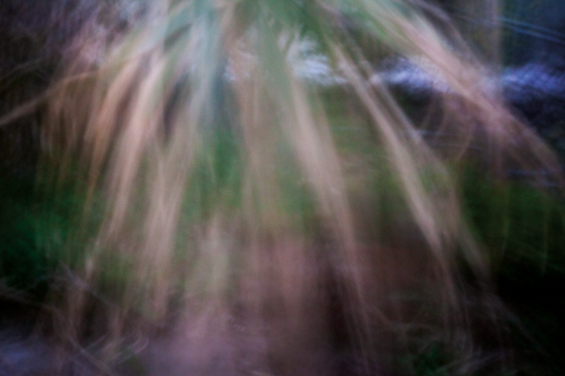 © Isabel Fernández Echavarría - Image from the Mapuchunko photography project