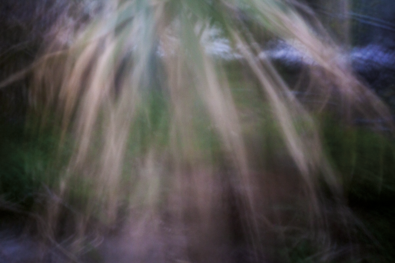 © Isabel Fernández Echavarría - Image from the Mapuchunko photography project