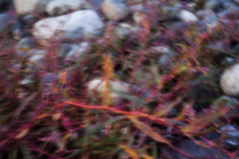 © Isabel Fernández Echavarría - Image from the Mapuchunko photography project