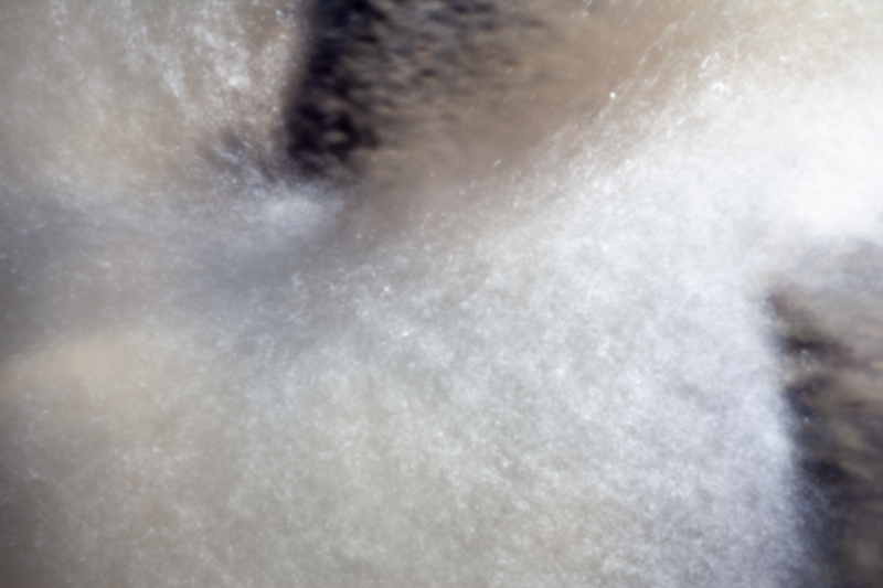 © Isabel Fernández Echavarría - Image from the Mapuchunko photography project