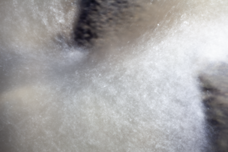 © Isabel Fernández Echavarría - Image from the Mapuchunko photography project