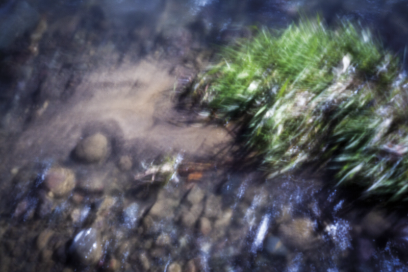 © Isabel Fernández Echavarría - Image from the Mapuchunko photography project