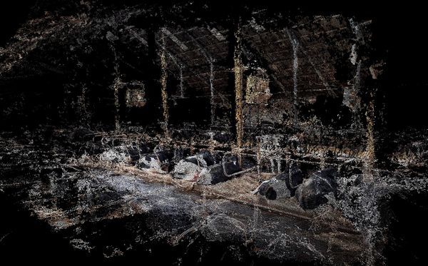 © Daniel Szalai - Image from the Unleash Your Herd's Potential photography project