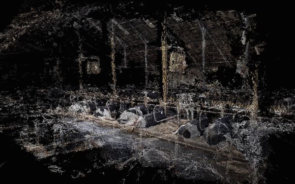 © Daniel Szalai - Image from the Unleash Your Herd's Potential photography project