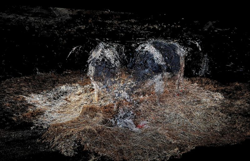 © Daniel Szalai - Image from the Unleash Your Herd's Potential photography project