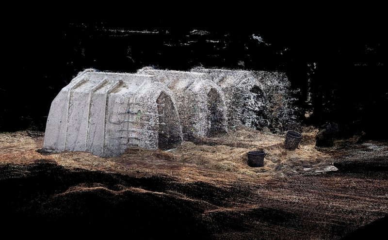 © Daniel Szalai - Image from the Unleash Your Herd's Potential photography project