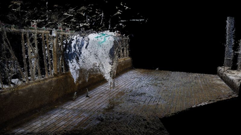 © Daniel Szalai - Cow 0267 Standing