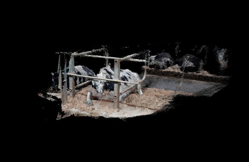 © Daniel Szalai - Cow 7141 Resting