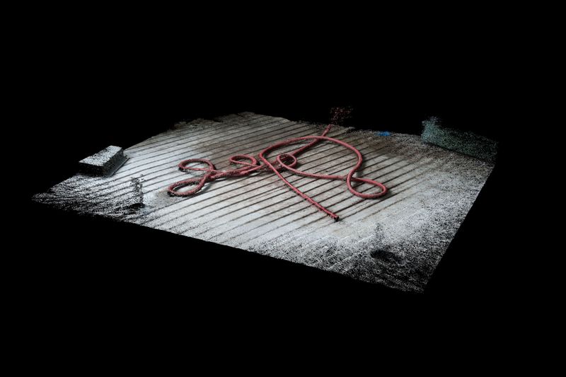 © Daniel Szalai - Hose