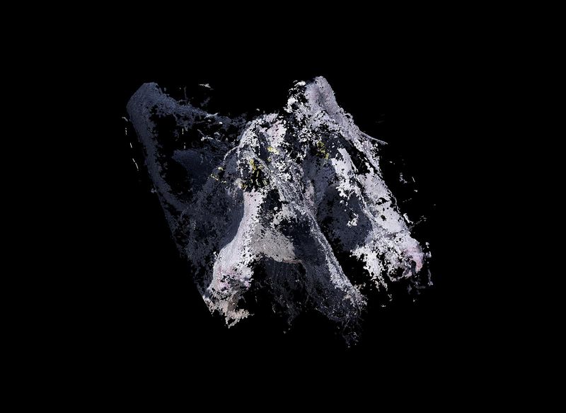© Daniel Szalai - Image from the Unleash Your Herd's Potential photography project