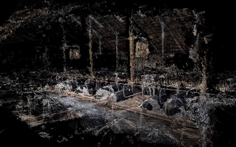 © Daniel Szalai - Image from the Unleash Your Herd's Potential photography project