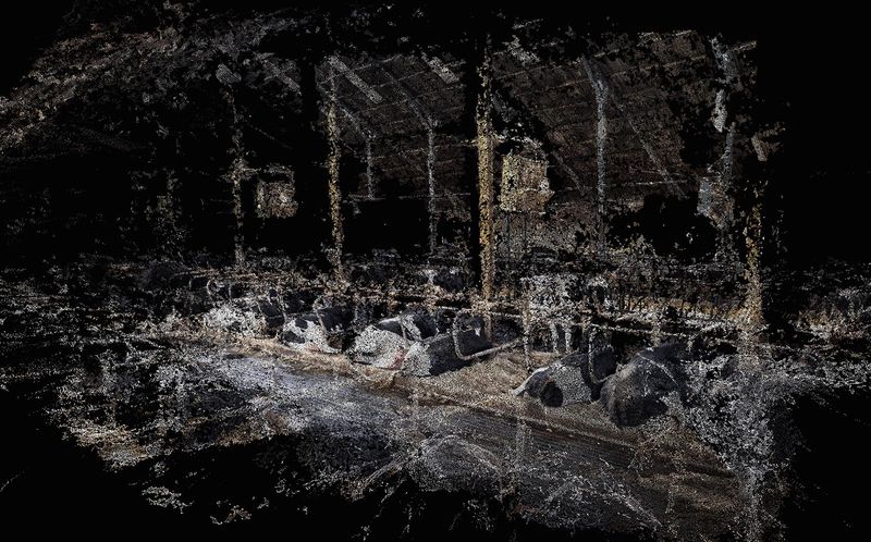 © Daniel Szalai - Image from the Unleash Your Herd's Potential photography project