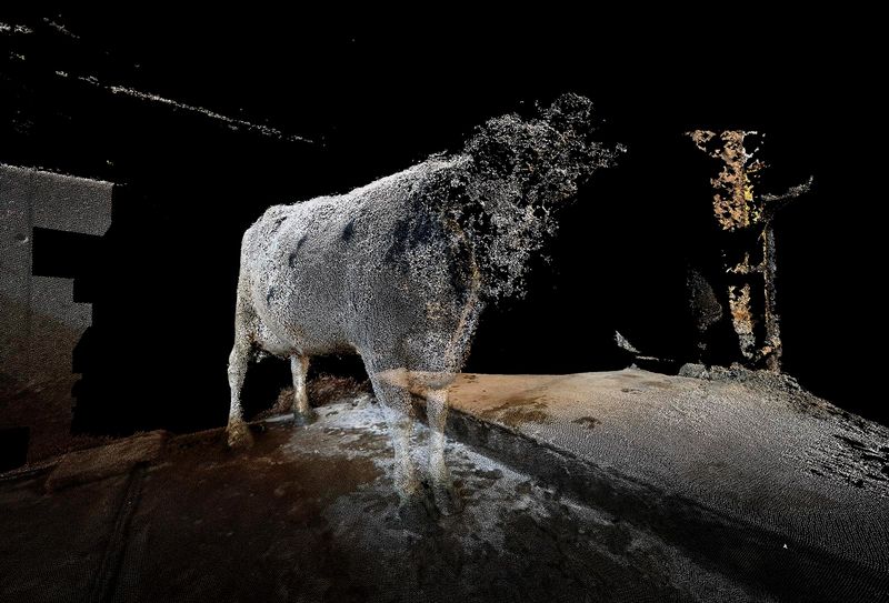 © Daniel Szalai - Image from the Unleash Your Herd's Potential photography project