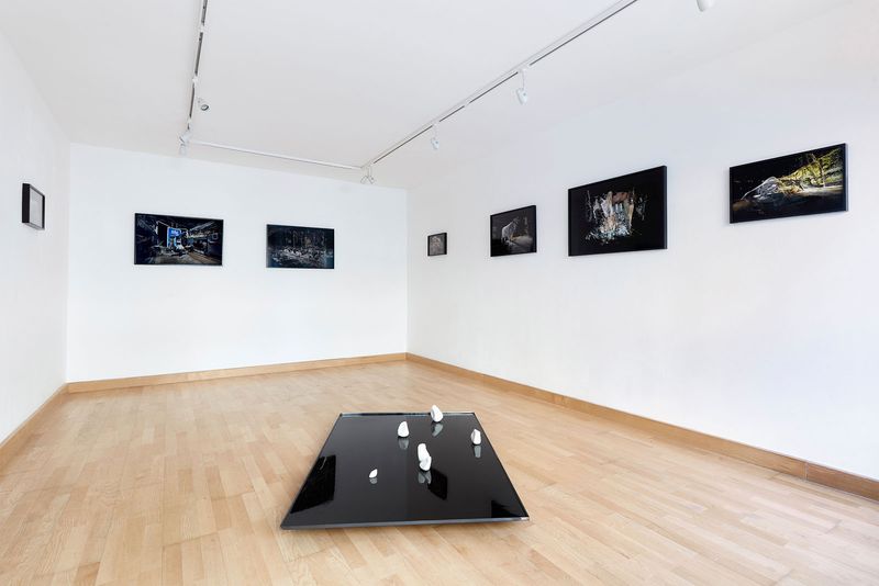 © Daniel Szalai - Image from the Unleash Your Herd's Potential photography project