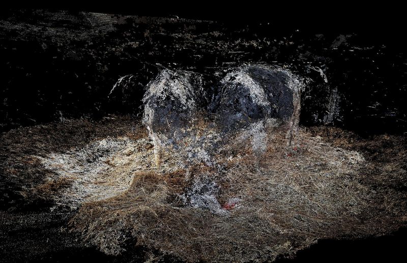 © Daniel Szalai - Image from the Unleash Your Herd's Potential photography project